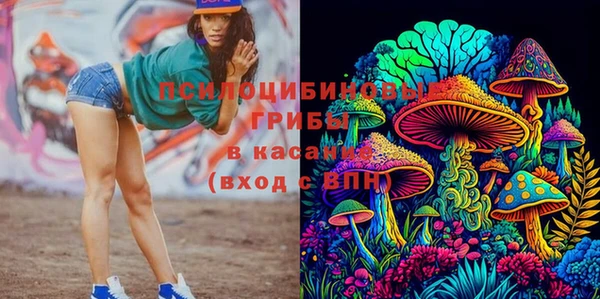 амфетамин Алексеевка