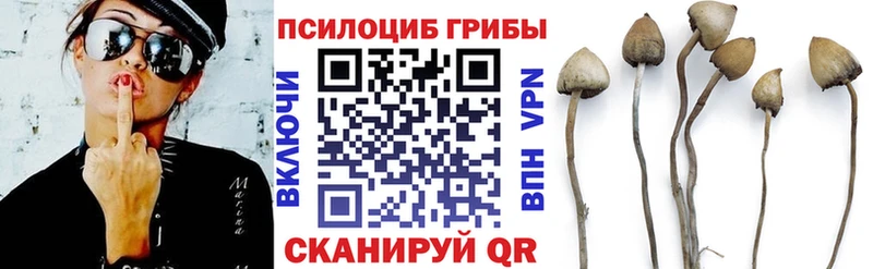 Галлюциногенные грибы ЛСД Медынь